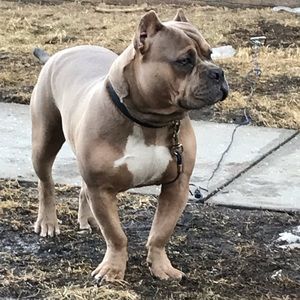 Meet your Posher, Horacio